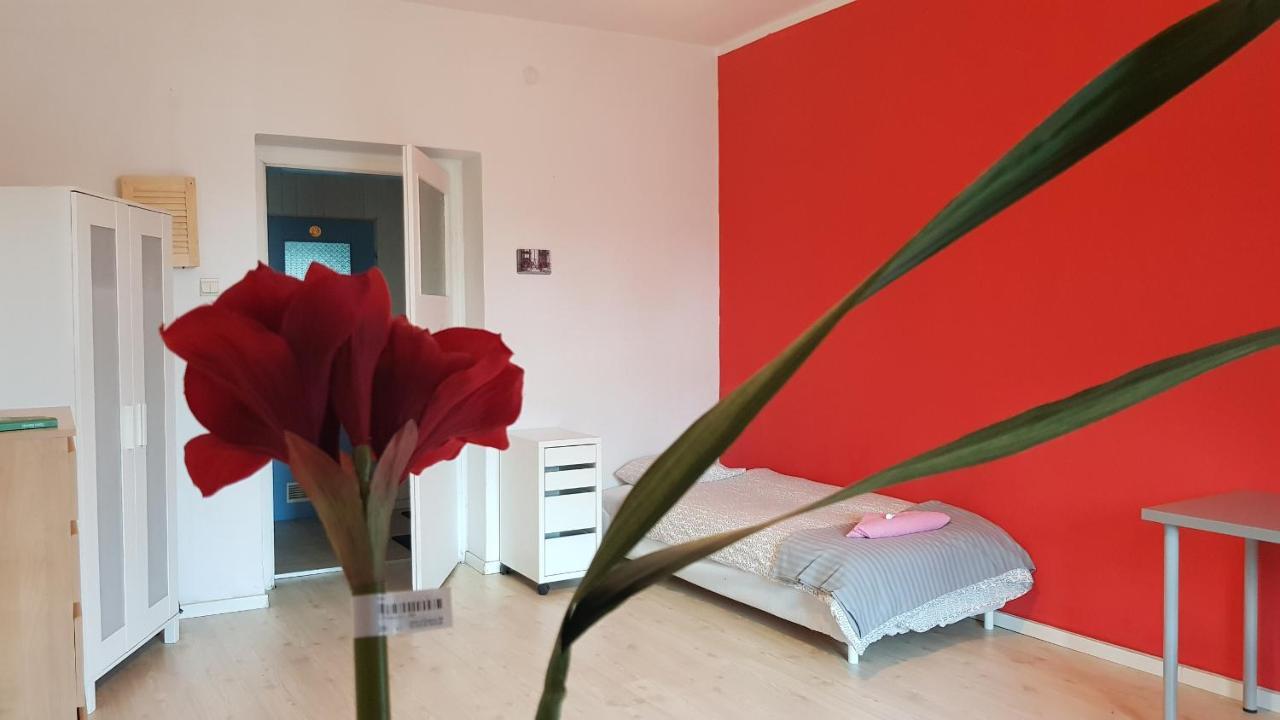Cozy & Fun Rooms Wojewodzka, Chopina, Damrota Катовіце Екстер'єр фото